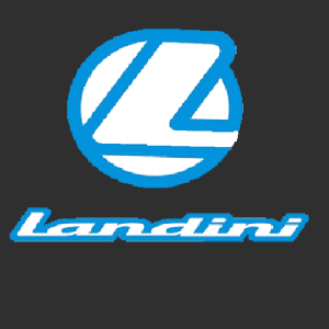 Landini